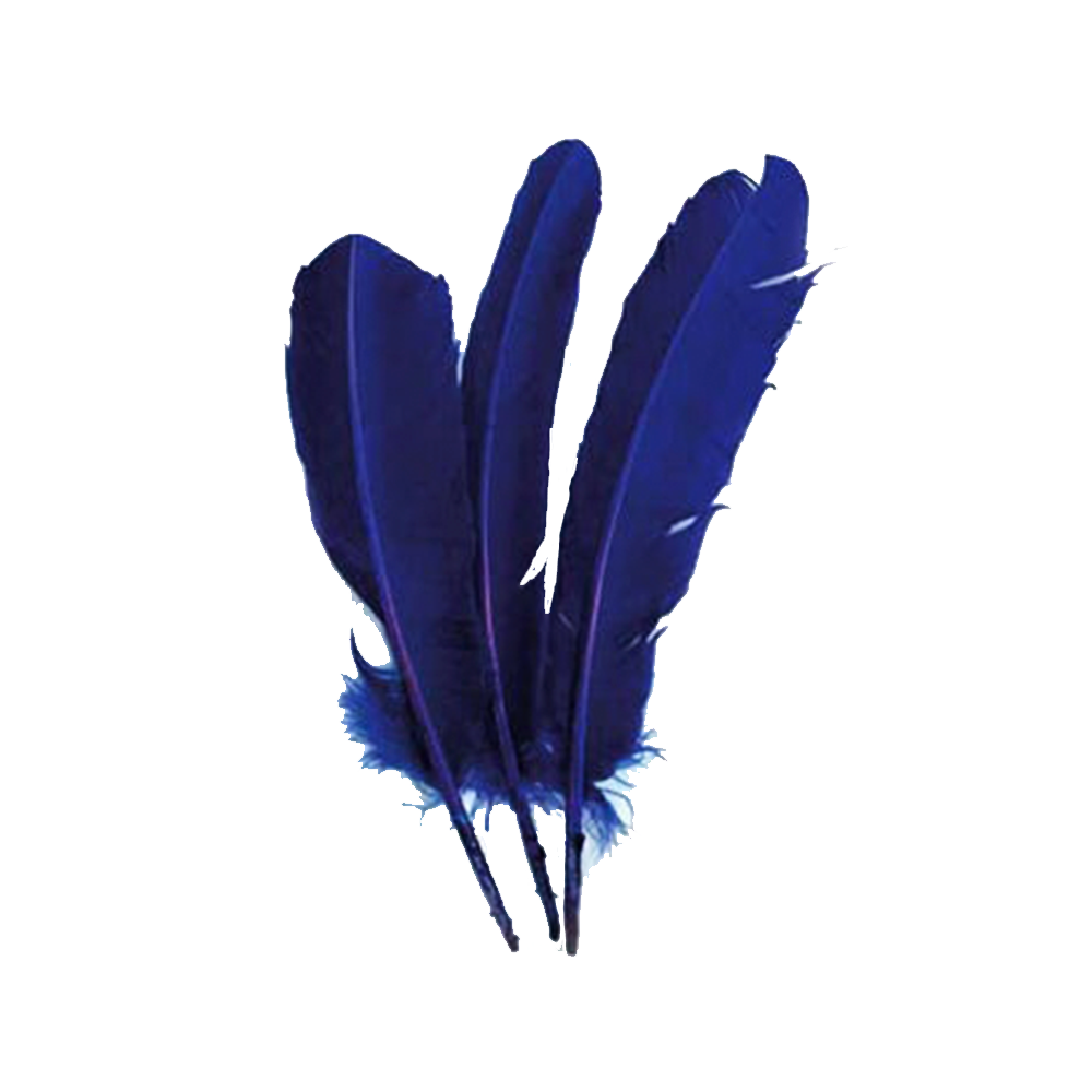 Dos plumas azules con las palabras plumas azules en ellas